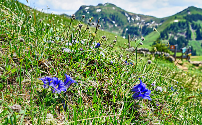 Parkhotel Burgmühle